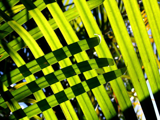 39071 (a): :1600x1200